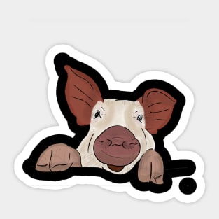 the curious pig Sticker